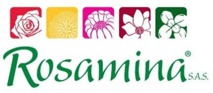 rosamina_orig